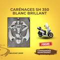 Carénages SH 350 Couleurs Premium